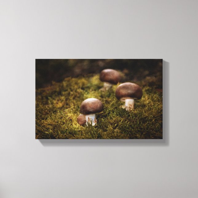 Toile Champignons dans la forêt (Recto)