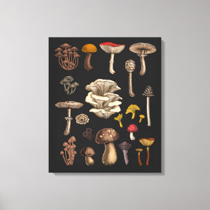 Toile Champignons sauvages sur fond noir graphite