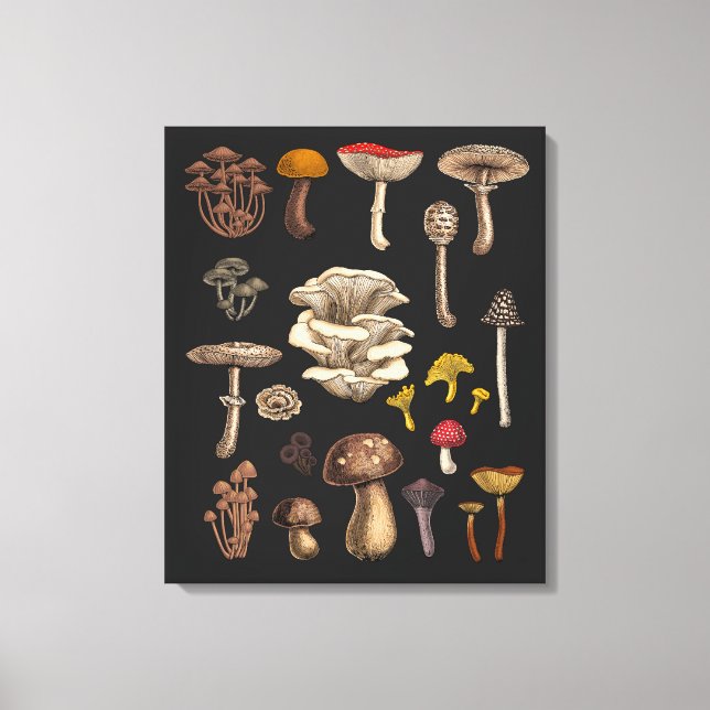Toile Champignons sauvages sur fond noir graphite (Recto)