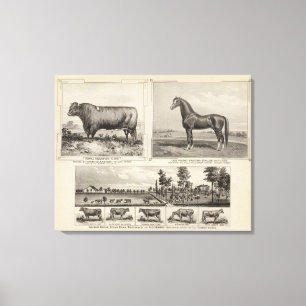 Toile Champion royal, jeune de Joe, le Kansas