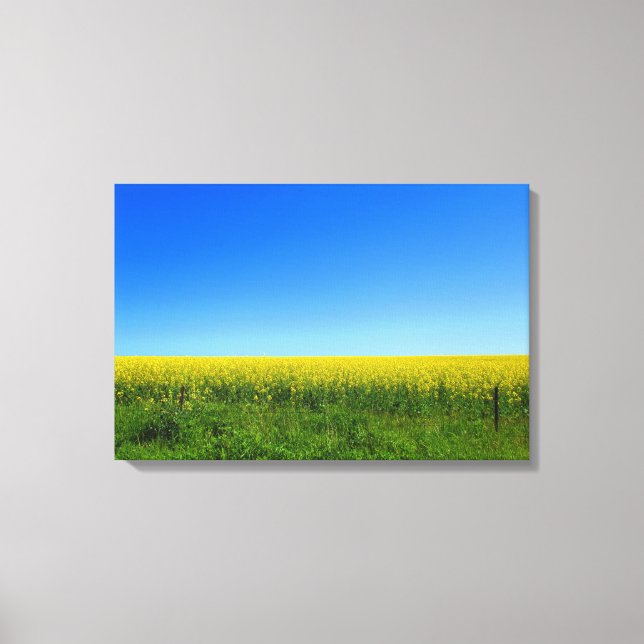 Toile Champs de canola (Recto)