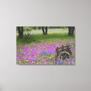 Toile Chariot en bois dans un champ de Phlox, Bonnets bl