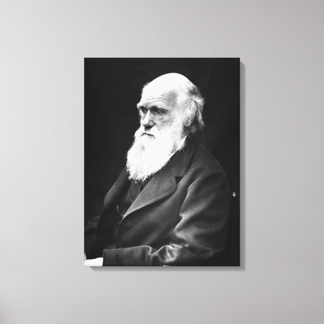 Toile Charles Darwin Portrait (Recto)