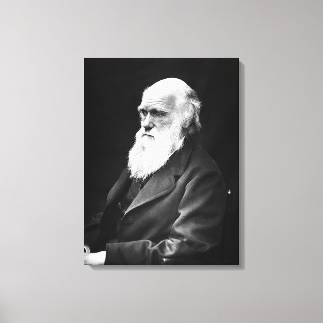 Toile Charles Darwin Portrait (Recto)
