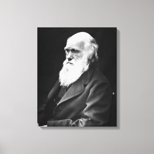 Toile Charles Darwin Portrait (Recto)