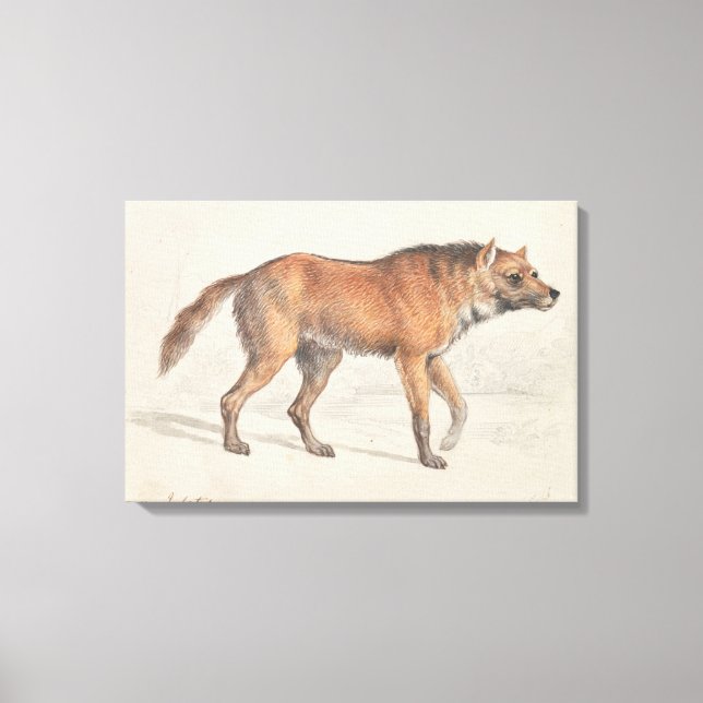 Toile Charles Hamilton Smith - Maned Wolf (Recto)