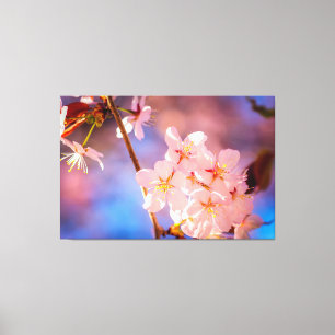 Toile Charmant Bunch De Fleurs Sakura Au Printemps
