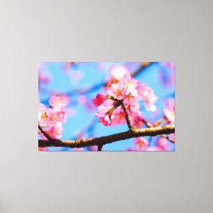 Toile Charme des fleurs de sakura au printemps