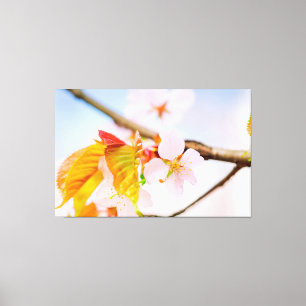 Toile Charming Charming Sakura Flower Et Feuilles Au Pri