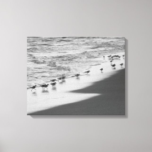 Toile Chasse aux Sandpipers (Recto)