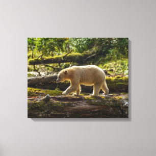 Toile Chasse de l'ours esprit blanc