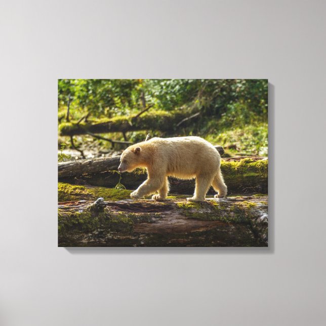 Toile Chasse de l'ours esprit blanc (Recto)