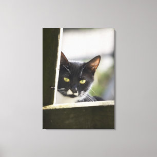 Toile Chat