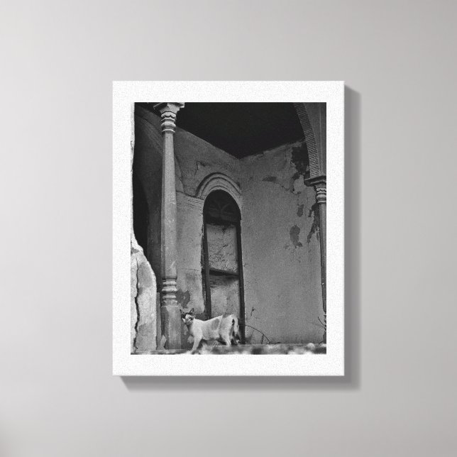 Toile Chat Al Balad (Recto)