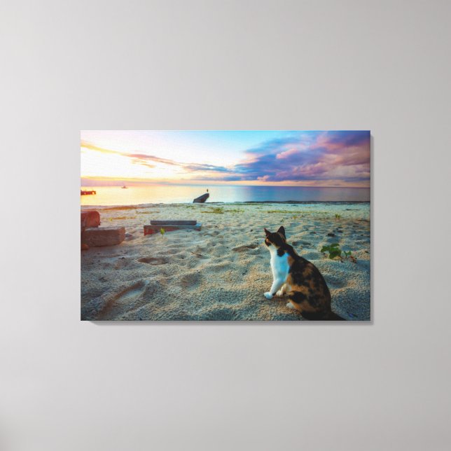 Toile Chat Assis Sur Une Plage (Recto)