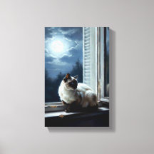Chat au clair de lune
