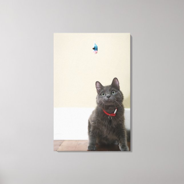 Toile Chat avec jouet (Recto)