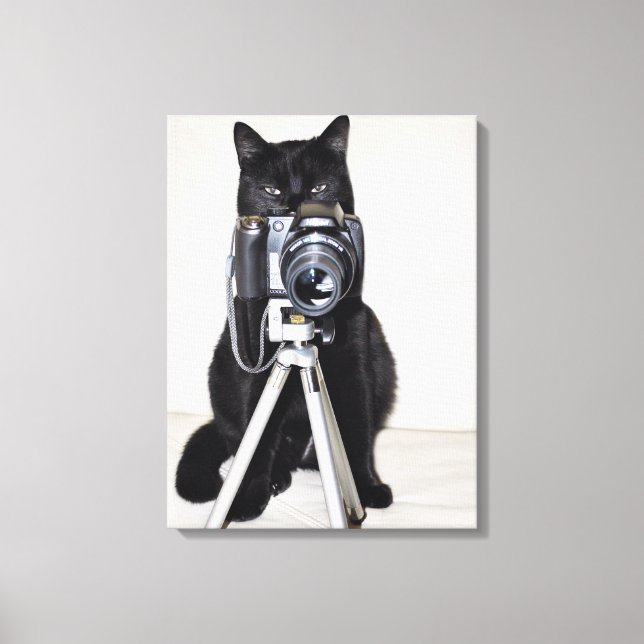 Toile Chat avec l'appareil photo (Recto)
