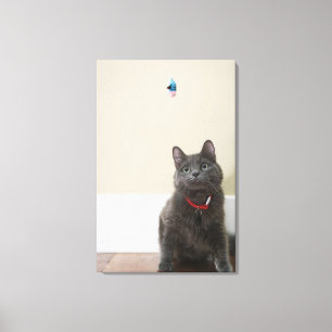 Toile Chat avec le jouet