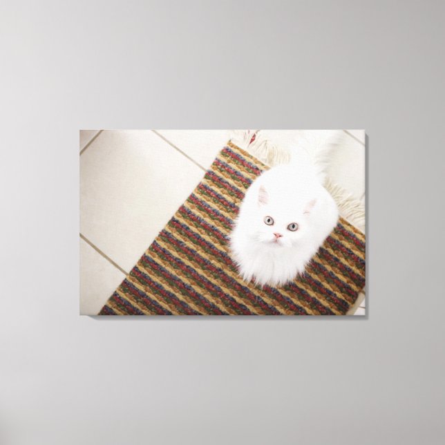 Toile Chat blanc assis sur le tapis (Recto)