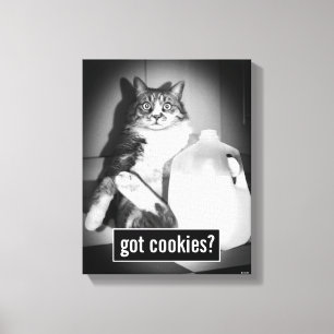 Toile Chat Boire Du Lait De Jug