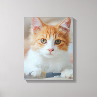 Toile Chat Brown
