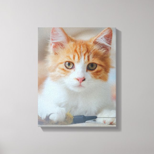 Toile Chat Brown (Recto)