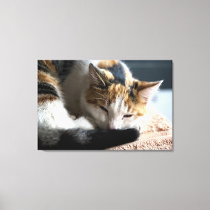 Toile Chat Calico