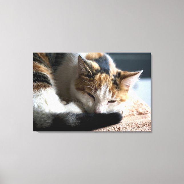 Toile Chat Calico (Recto)