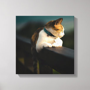 Toile Chat calicot se prélassant sur une clôture en bois