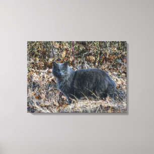Toile Chat dans les bois