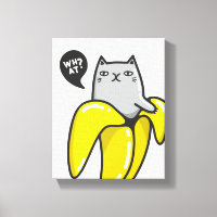 Chat en banane