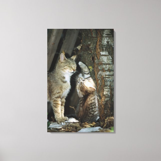 Toile Chat et chaton par arbre (Recto)