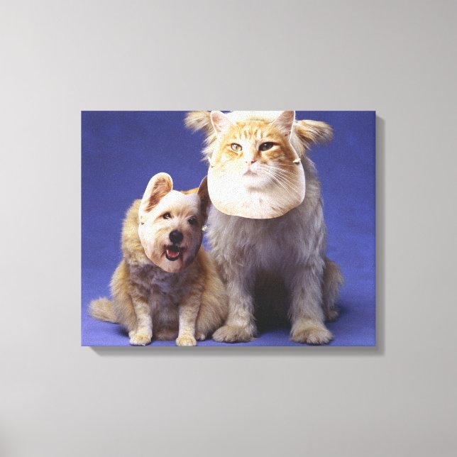Toile Chat et chien avec masques (Recto)