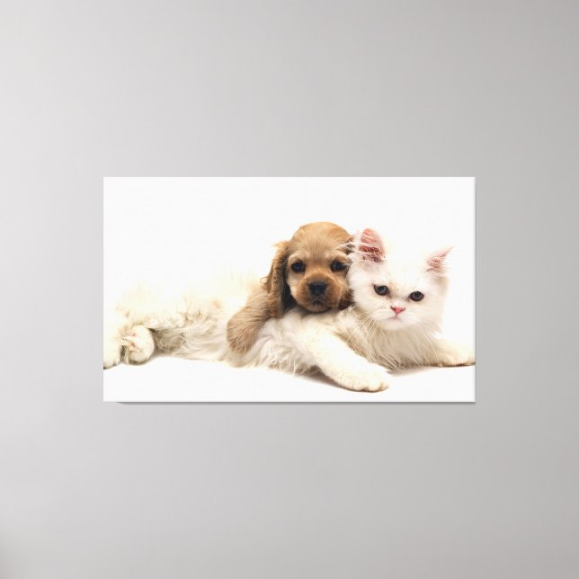 Toile Chat et chiot (Recto)