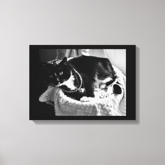 Toile Chat fantaisie (Recto)