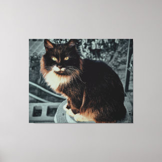 Toile Chat majestueux et duveteux sur un piédestal