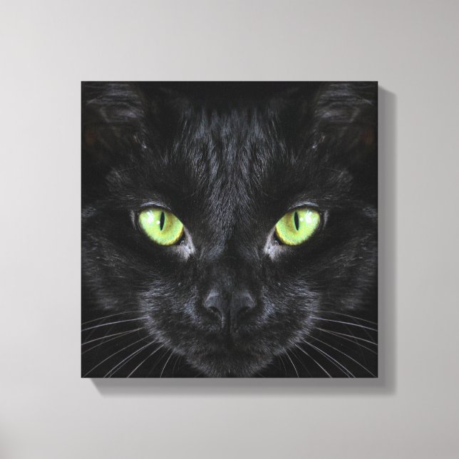 Toile Chat noir aux yeux verts (Recto)