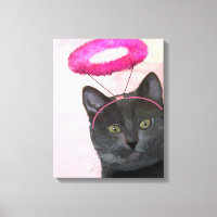 Chat Noir Avec Halo Angel Rose