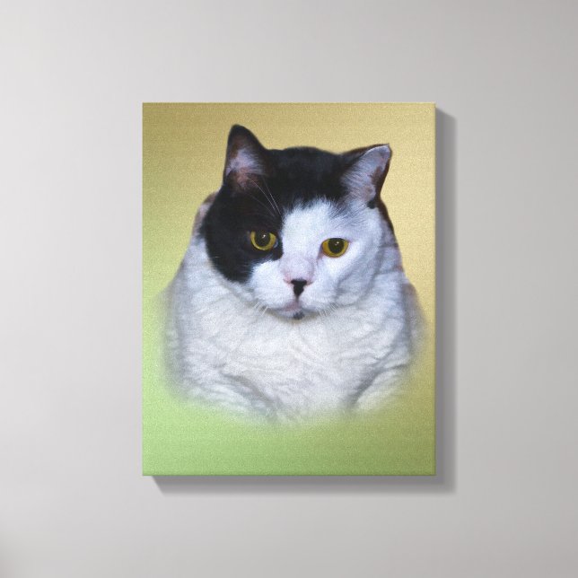 Toile Chat noir et blanc en gras (Recto)