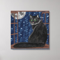 Chat noir Regardant la Lune et les étoiles