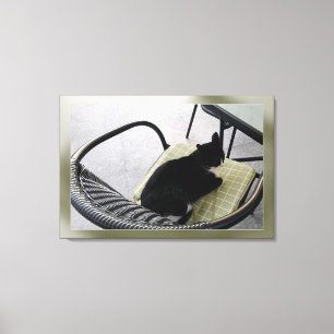 Toile Chat noir sur une terrasse