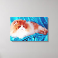 Chat perse