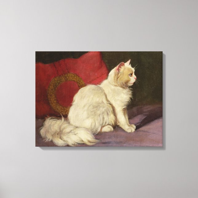 Toile Chat perse blanc (Recto)