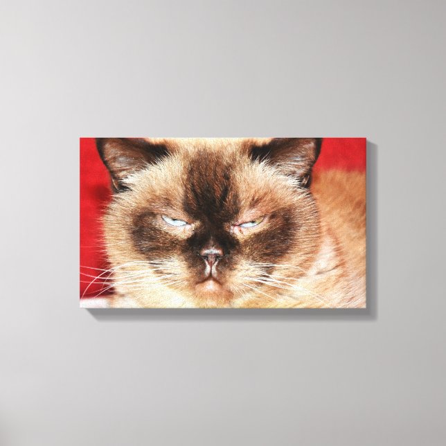 TOILE CHAT PERSIAN SLEEEPY STRETCHÉ CANVAS (Recto)