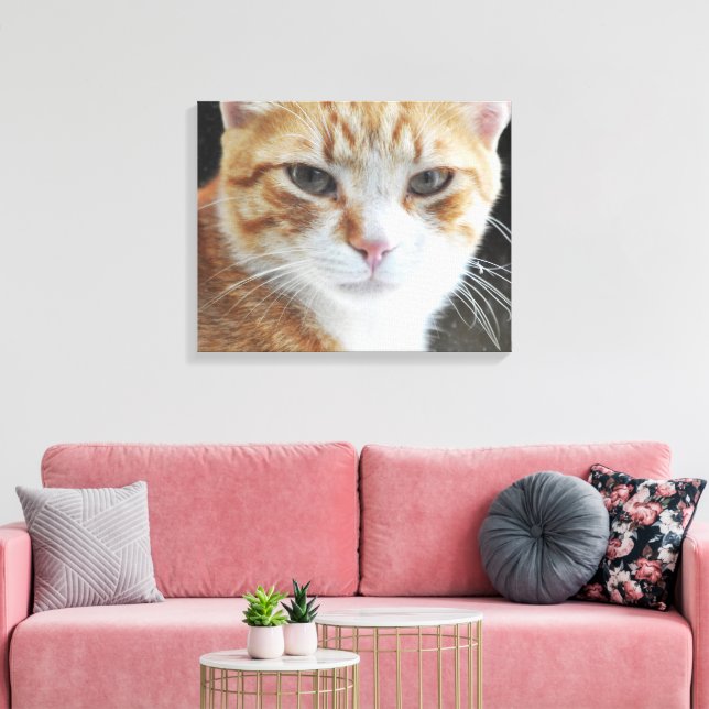 Toile Chat sans abri derrière la fenêtre . (Insitu(Salon))
