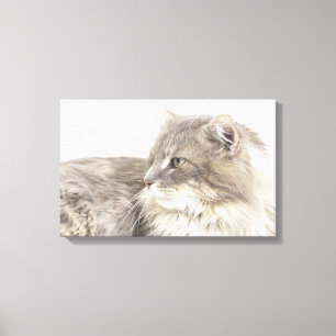 Toile Chat se couchant