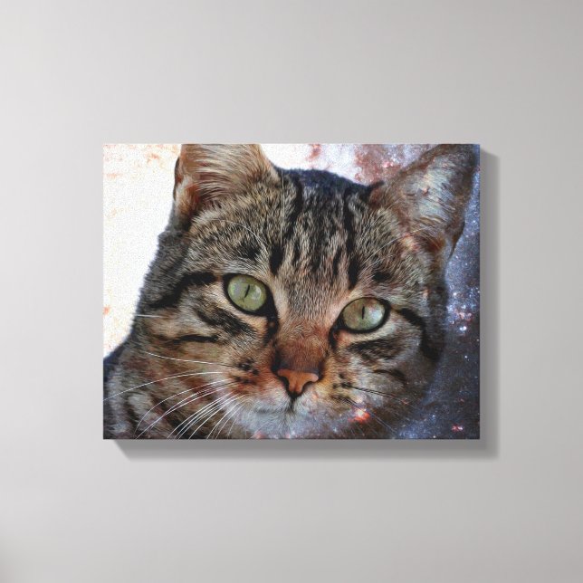 Toile Chat spatial (Recto)