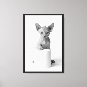 Toile Chat Sphynx joueur gardant du papier toilette - Él