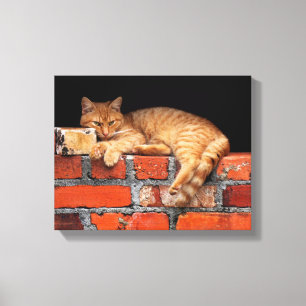 Toile Chat sur mur de brique